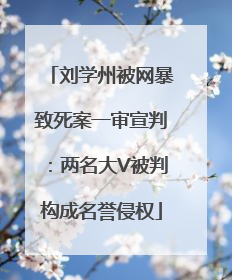 刘学州被网暴致死案一审宣判：两名大V被判构成名誉侵权