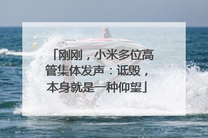 刚刚，小米多位高管集体发声：诋毁，本身就是一种仰望