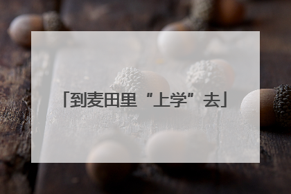 到麦田里“上学”去