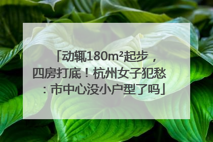 动辄180m²起步，四房打底！杭州女子犯愁：市中心没小户型了吗