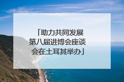 助力共同发展 第八届进博会座谈会在土耳其举办