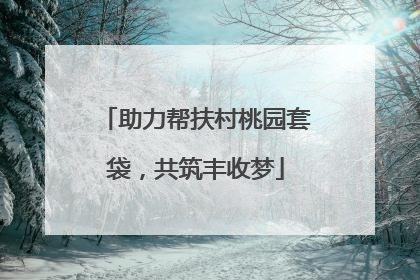 助力帮扶村桃园套袋，共筑丰收梦