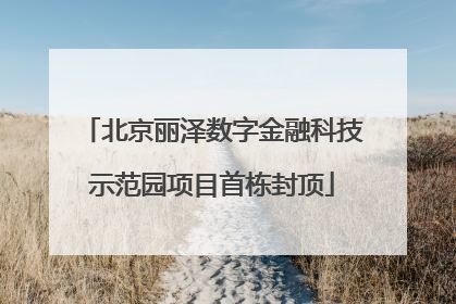 北京丽泽数字金融科技示范园项目首栋封顶