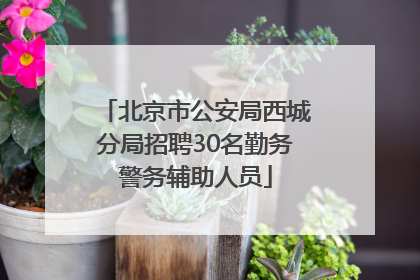 北京市公安局西城分局招聘30名勤务警务辅助人员