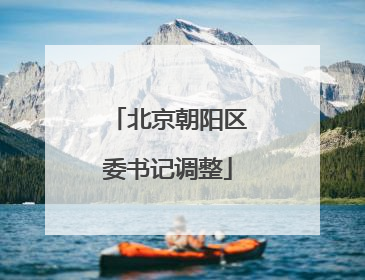 北京朝阳区委书记调整