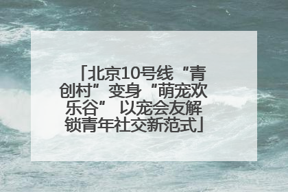 北京10号线“青创村”变身“萌宠欢乐谷” 以宠会友解锁青年社交新范式