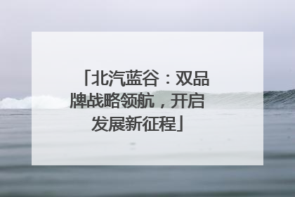 北汽蓝谷：双品牌战略领航，开启发展新征程