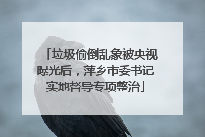 垃圾偷倒乱象被央视曝光后，萍乡市委书记实地督导专项整治