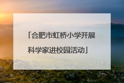 合肥市虹桥小学开展科学家进校园活动