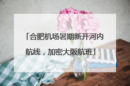 合肥机场暑期新开河内航线，加密大阪航班