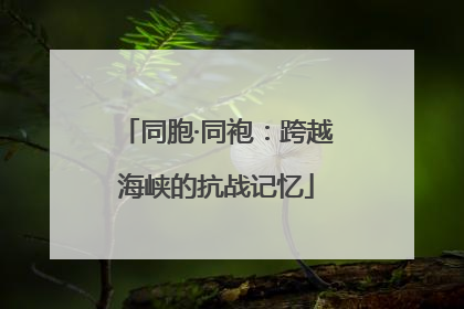 同胞·同袍：跨越海峡的抗战记忆