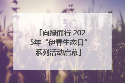 向绿而行 2025年“伊春生态日”系列活动启幕