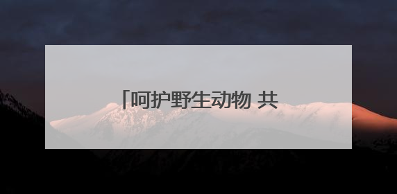 呵护野生动物 共建生态家园 榆林多措并举为野生动植物筑起“安全屏障”