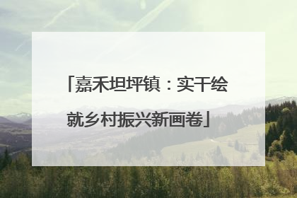 嘉禾坦坪镇：实干绘就乡村振兴新画卷