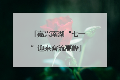 嘉兴南湖“七一”迎来客流高峰