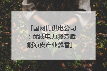 国网焦供电公司：优质电力服务赋能凉皮产业飘香