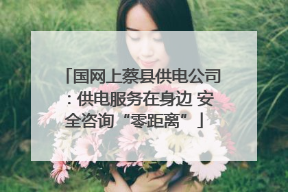 国网上蔡县供电公司：供电服务在身边 安全咨询“零距离”
