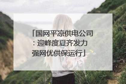 国网平凉供电公司：迎峰度夏齐发力 强网优供保运行