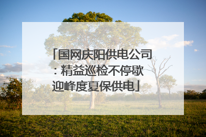 国网庆阳供电公司：精益巡检不停歇 迎峰度夏保供电