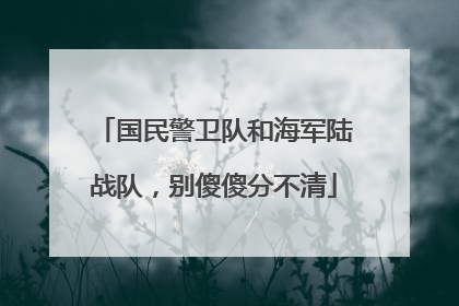 国民警卫队和海军陆战队，别傻傻分不清