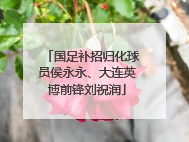 国足补招归化球员侯永永、大连英博前锋刘祝润