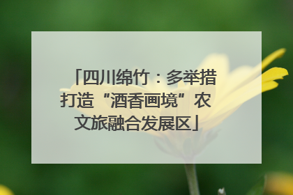 四川绵竹：多举措打造“酒香画境”农文旅融合发展区