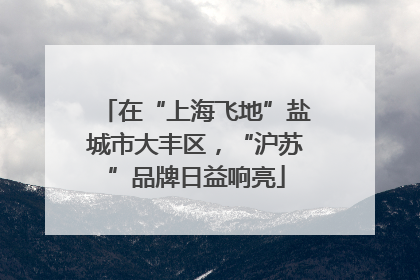 在“上海飞地”盐城市大丰区，“沪苏”品牌日益响亮