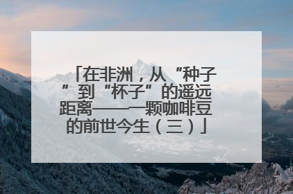 在非洲,从“种子”到“杯子”的遥远距离——一颗咖啡豆的前世今生(三)