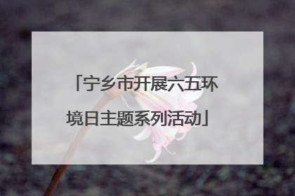 宁乡市开展六五环境日主题系列活动
