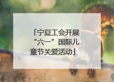 宁夏工会开展“六一”国际儿童节关爱活动