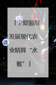 宁夏银川发展现代农业精算“水账”