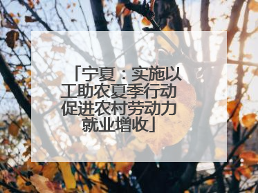 宁夏：实施以工助农夏季行动促进农村劳动力就业增收