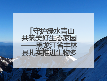 守护绿水青山 共筑美好生态家园——黑龙江省丰林县扎实推进生物多样性保护工作