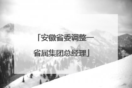 安徽省委调整一省属集团总经理