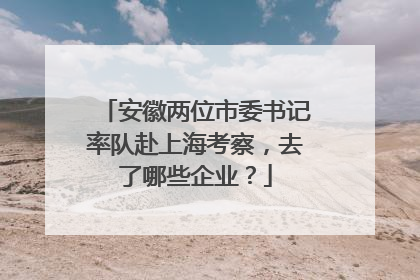 安徽两位市委书记率队赴上海考察，去了哪些企业？
