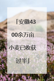 安徽4300余万亩小麦已收获过半