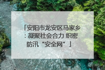 安阳市龙安区马家乡：凝聚社会合力 织密防汛“安全网”