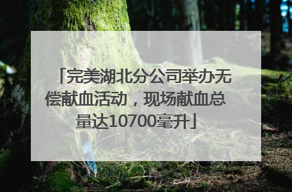 完美湖北分公司举办无偿献血活动，现场献血总量达10700毫升