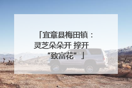 宜章县梅田镇：灵芝朵朵开 撑开“致富花”