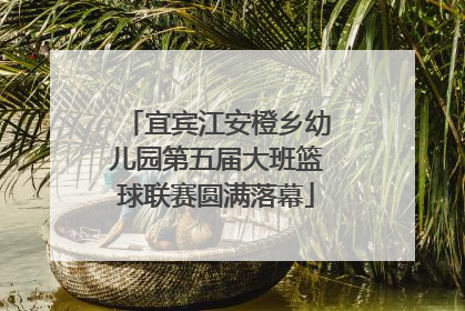 宜宾江安橙乡幼儿园第五届大班篮球联赛圆满落幕