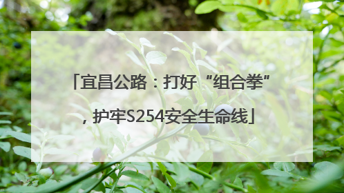 宜昌公路：打好“组合拳”，护牢S254安全生命线