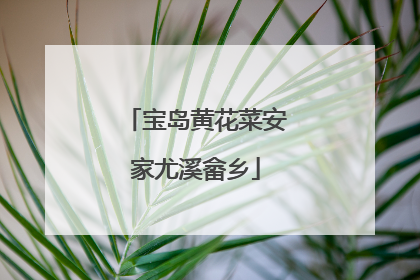 宝岛黄花菜安家尤溪畲乡