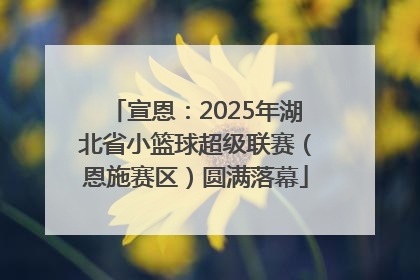 宣恩：2025年湖北省小篮球超级联赛（恩施赛区）圆满落幕