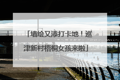 墙绘又添打卡地！巡津新村梧桐女孩来啦