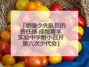 增强少先队员的责任感 成都青羊实验中学附小召开第六次少代会