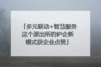 多元联动+智慧服务 这个派出所的护企新模式获企业点赞
