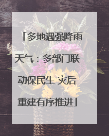 多地遇强降雨天气：多部门联动保民生 灾后重建有序推进