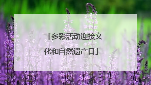 多彩活动迎接文化和自然遗产日