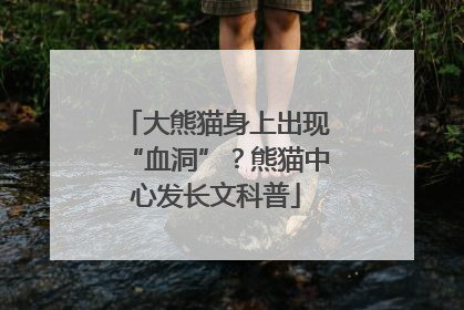 大熊猫身上出现“血洞”？熊猫中心发长文科普