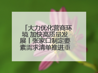 大力优化营商环境 加快高质量发展丨张家口制定要素需求清单推进重点项目建设